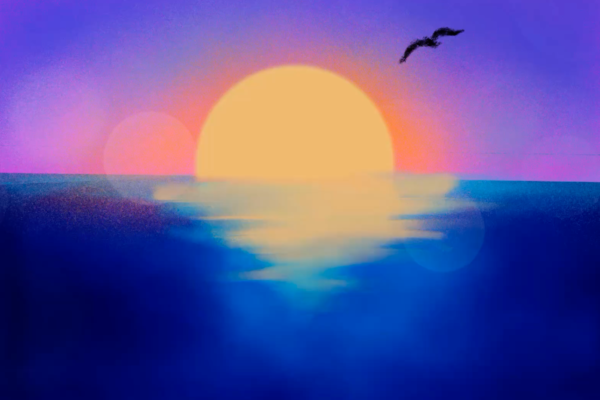 Procreate_Adobe_Fresco_Design_Agency_Creative